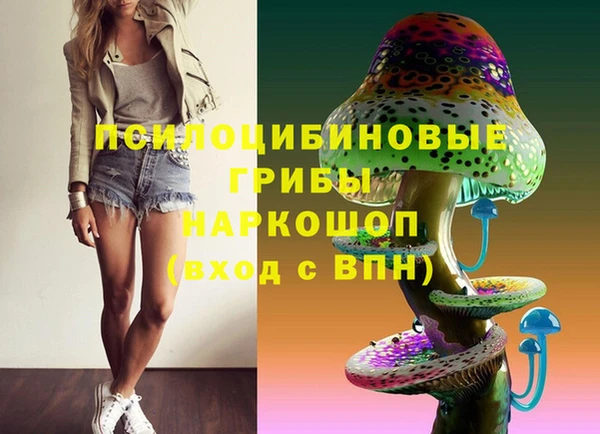 гидра Алексеевка