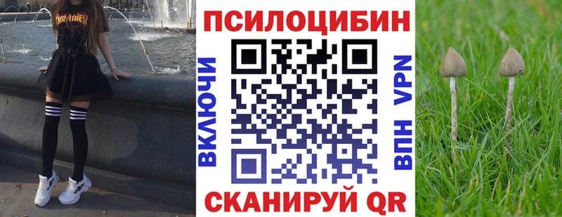 KRAKEN как зайти  Мирный  Псилоцибиновые грибы GOLDEN TEACHER 