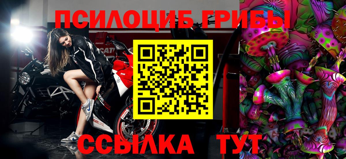 Галлюциногенные грибы Cubensis Мирный